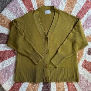 Modern Citizen avocado green oversized cardigan